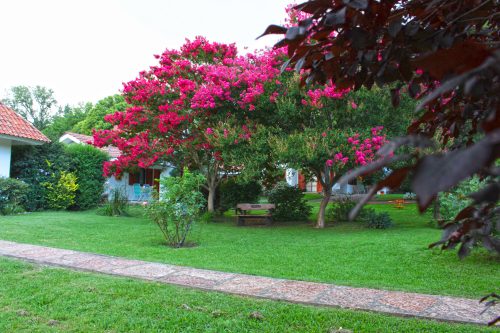 Arboleda, parque, pileta climatizada